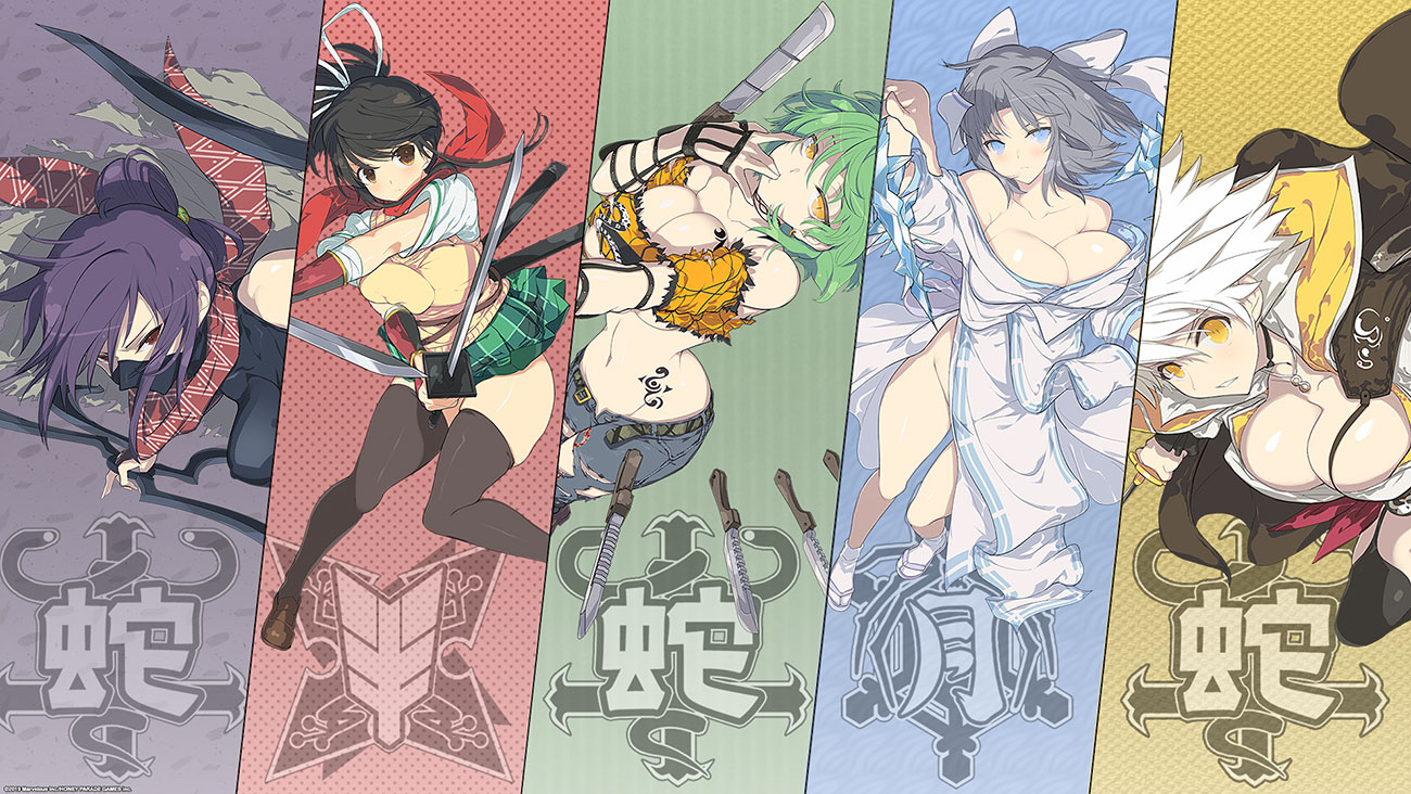 Senran kagura artist